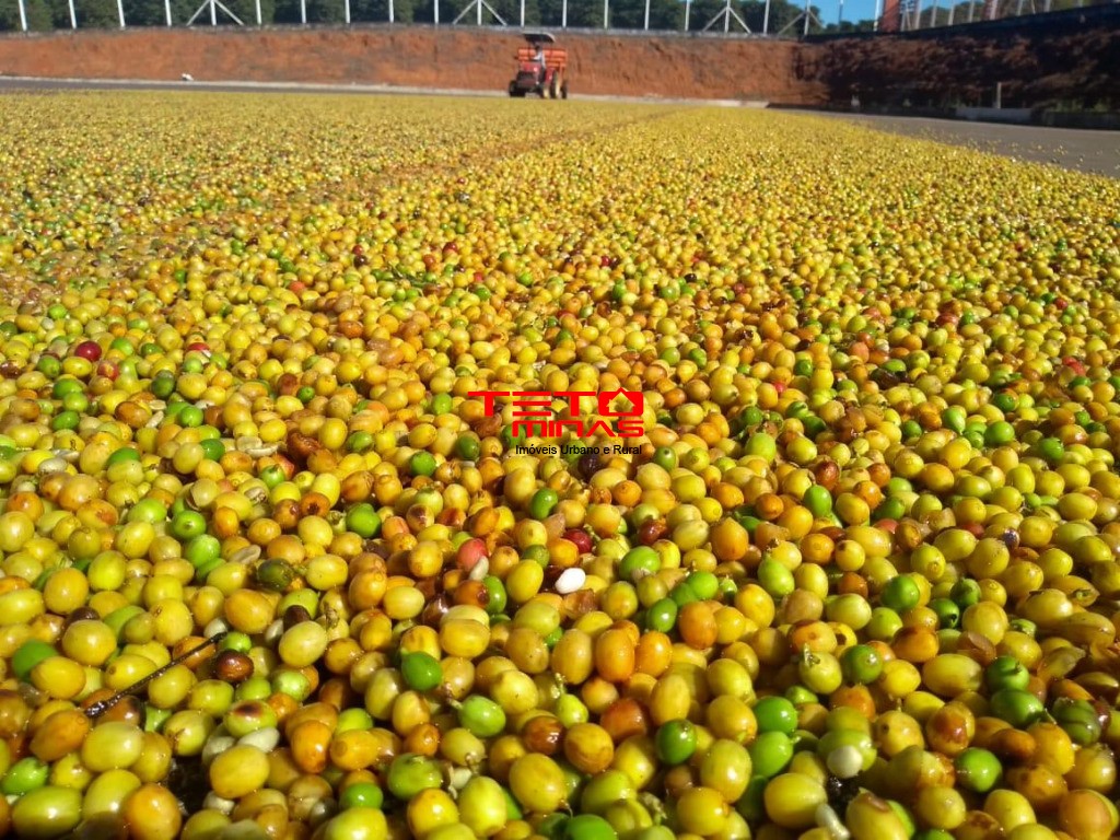 Fazenda à venda - Foto 4