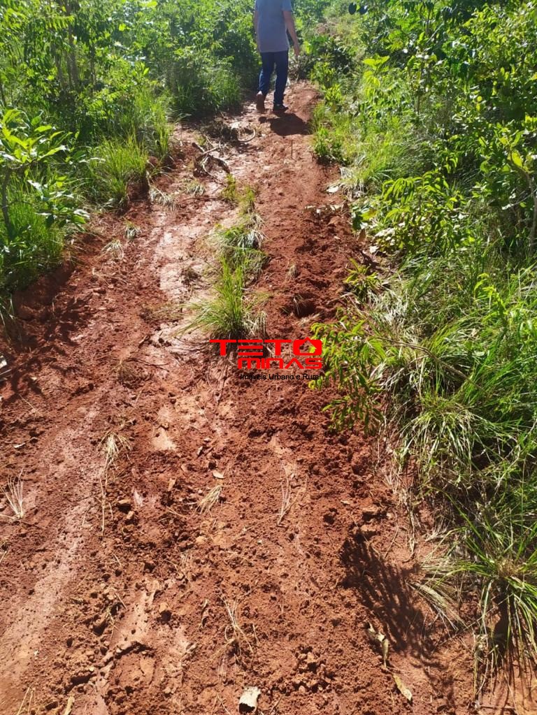 Haras e Área Rural Padrão à venda, 700m² - Foto 18
