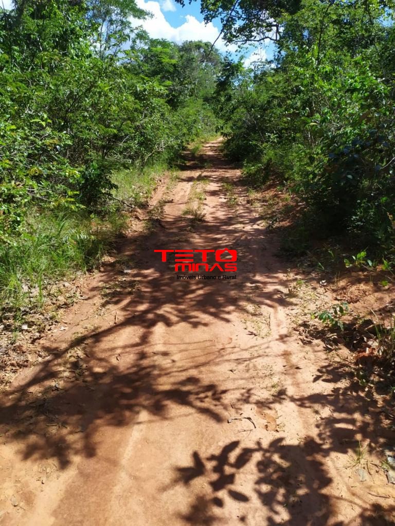Haras e Área Rural Padrão à venda, 700m² - Foto 19