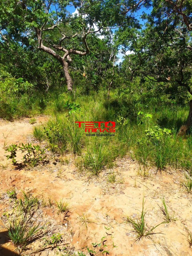 Haras e Área Rural Padrão à venda, 700m² - Foto 6