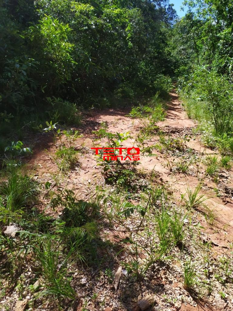 Haras e Área Rural Padrão à venda, 700m² - Foto 15