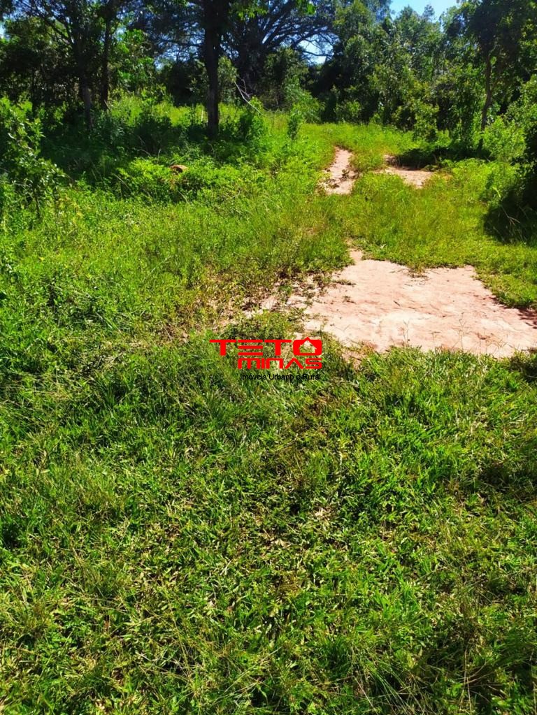 Haras e Área Rural Padrão à venda, 700m² - Foto 22