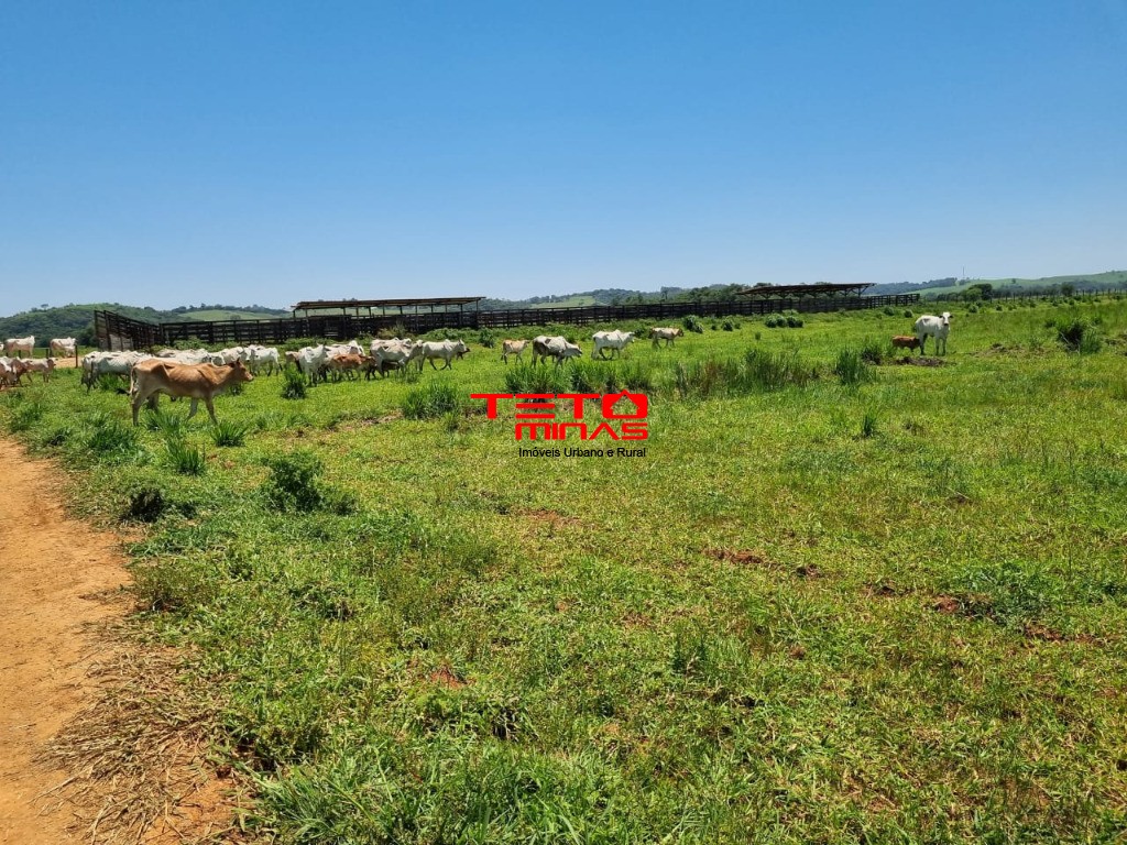 Sítio, 175 m² - Foto 4