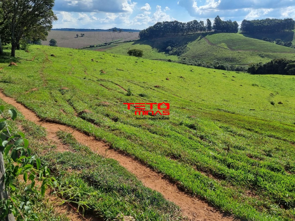 Haras e Área Rural Padrão à venda, 389m² - Foto 2