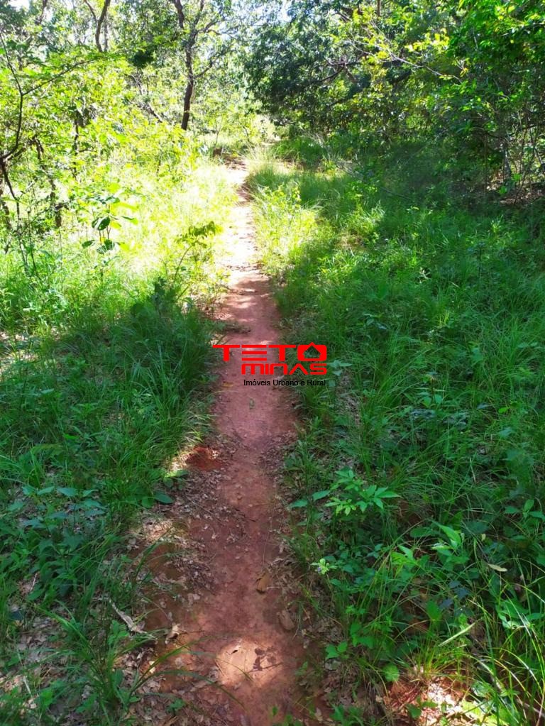 Haras e Área Rural Padrão à venda, 700m² - Foto 5