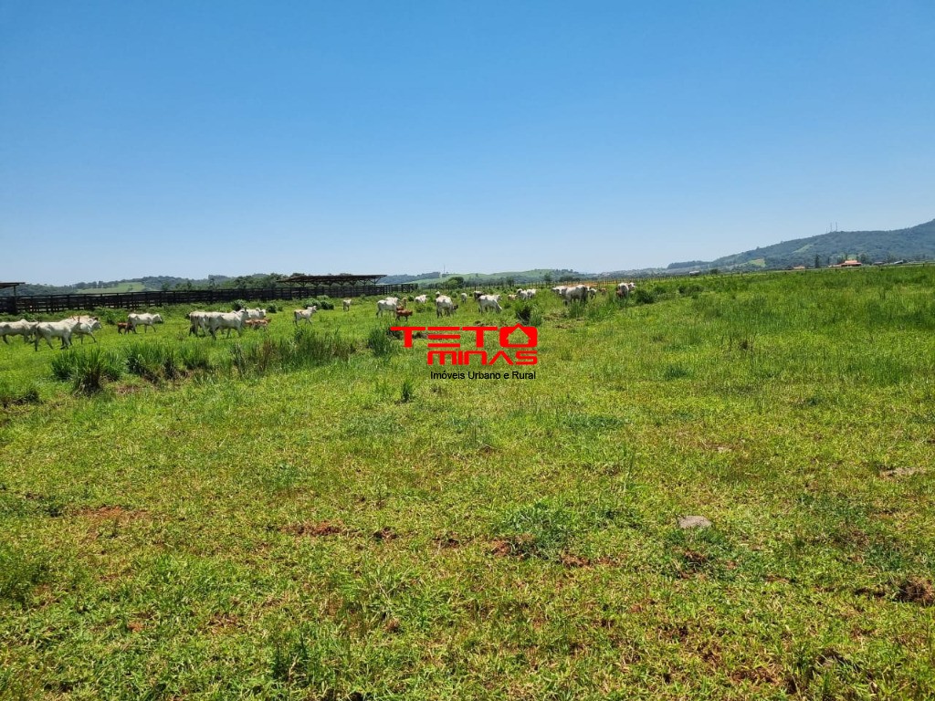 Sítio, 175 m² - Foto 5