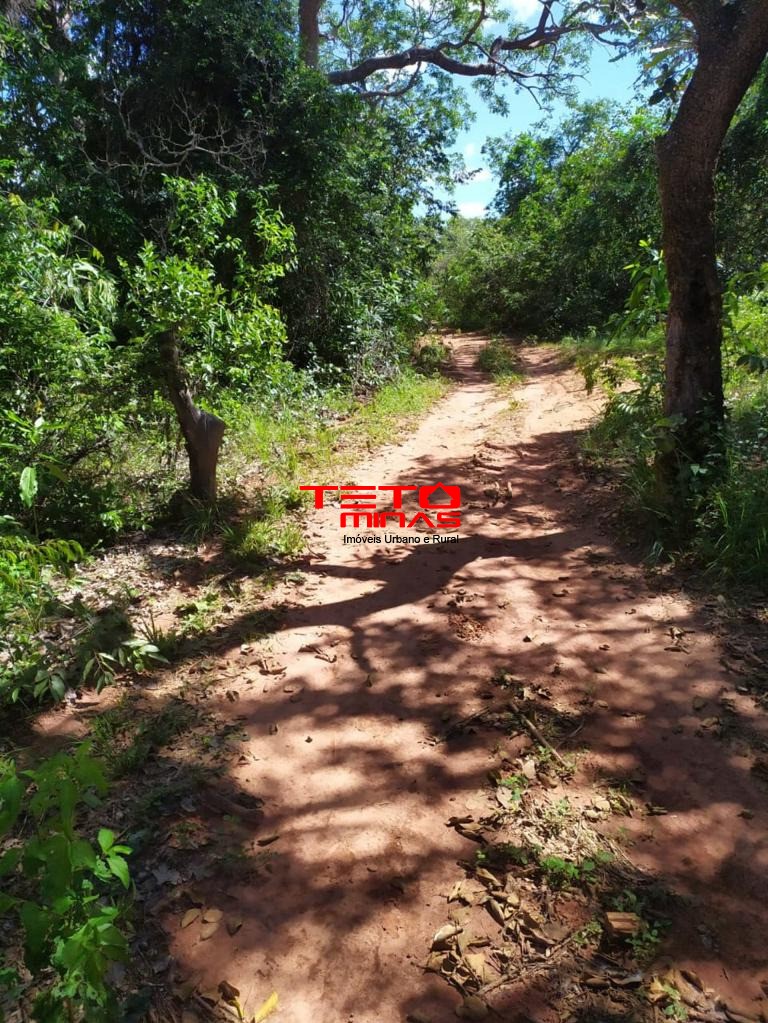 Haras e Área Rural Padrão à venda, 700m² - Foto 2