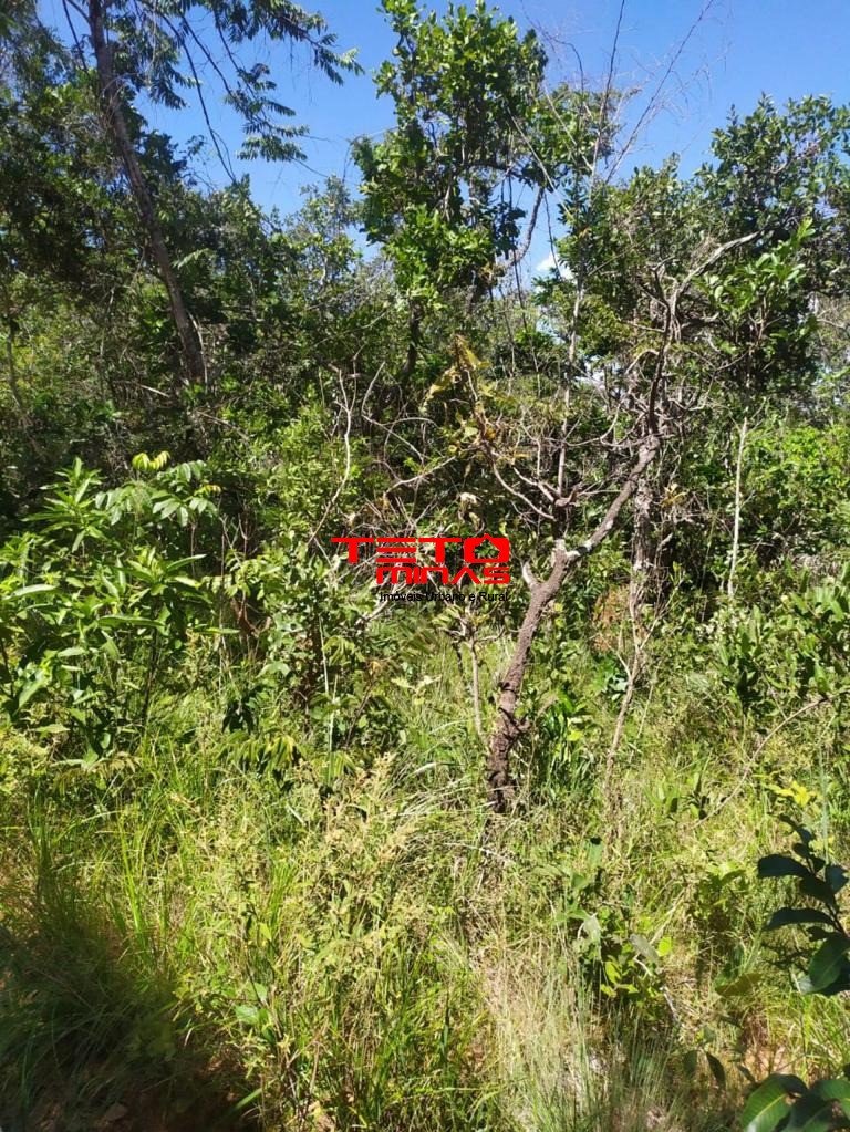 Haras e Área Rural Padrão à venda, 700m² - Foto 11