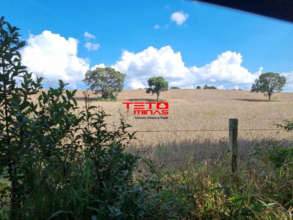 Haras e Área Rural Padrão à venda, 389m² - Foto 1
