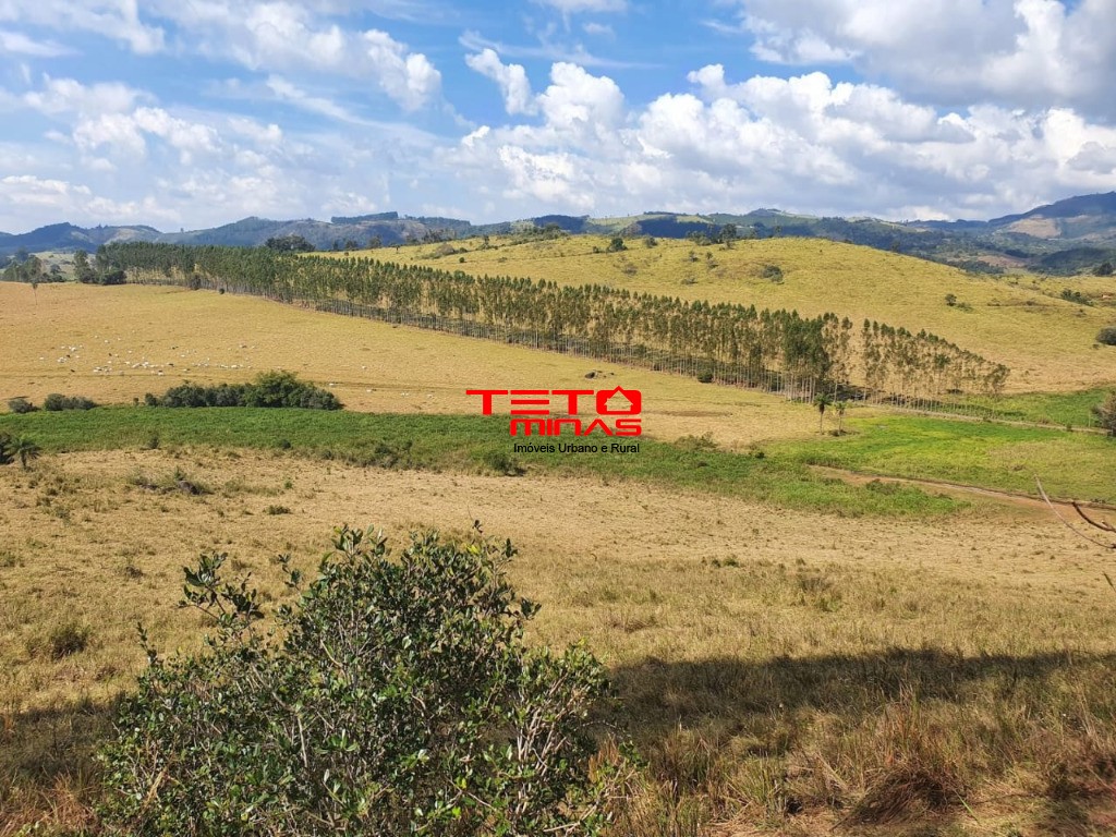 Fazenda-Sítio-Chácara - Foto 3