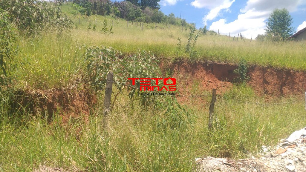 Terreno à venda, 250m² - Foto 3
