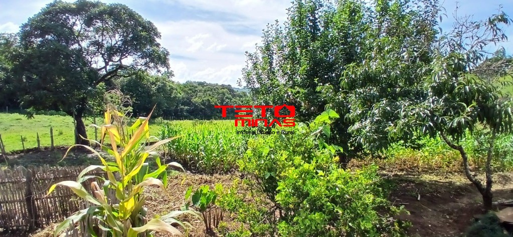 Chácara à venda com 3 quartos - Foto 30