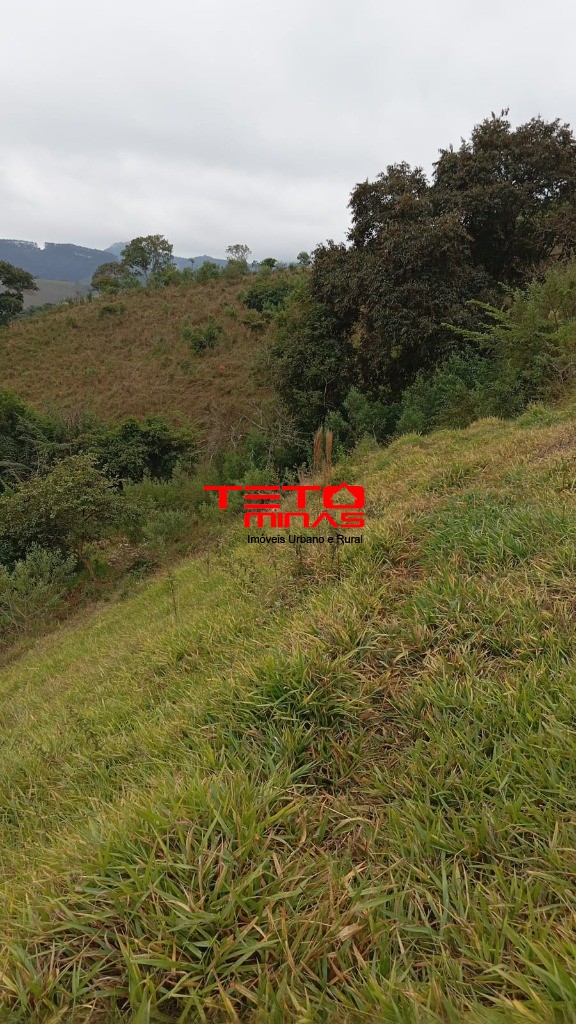Chácara à venda - Foto 12