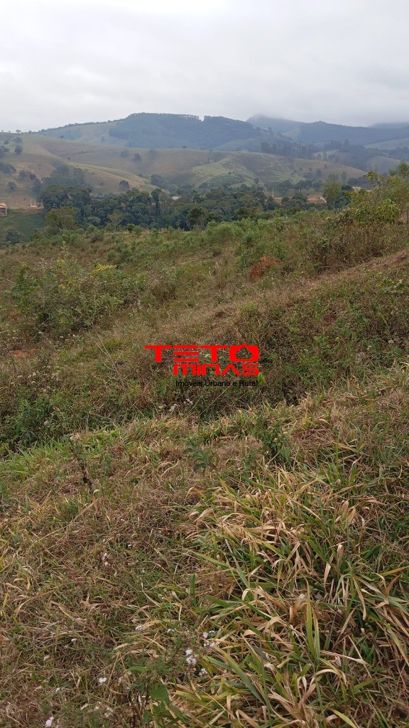 Chácara à venda - Foto 14