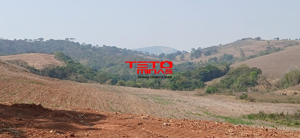 Fazenda à venda com 4 quartos - Foto 16