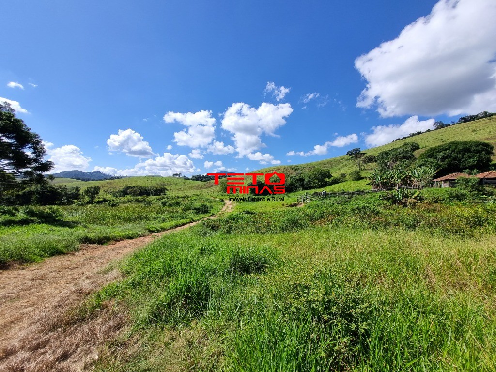 Fazenda-Sítio-Chácara - Foto 4