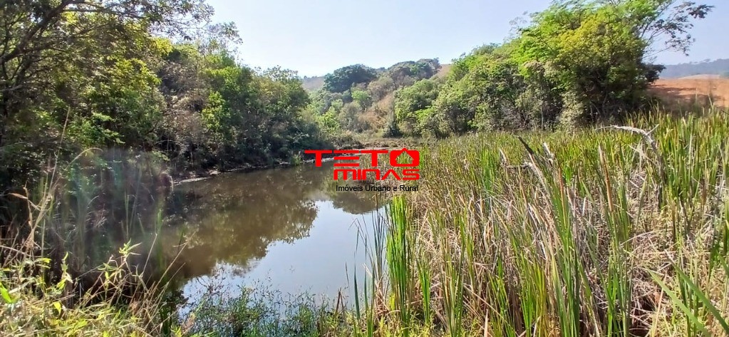 Fazenda à venda com 4 quartos - Foto 18