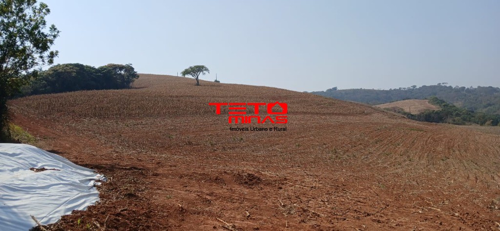 Fazenda à venda com 4 quartos - Foto 15