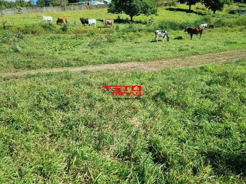Terreno à venda, 11m² - Foto 5