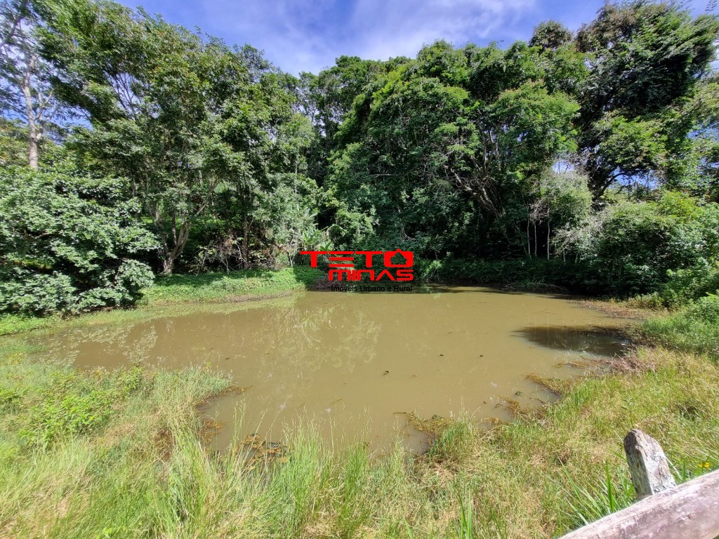 Sítio, 3 quartos - Foto 14