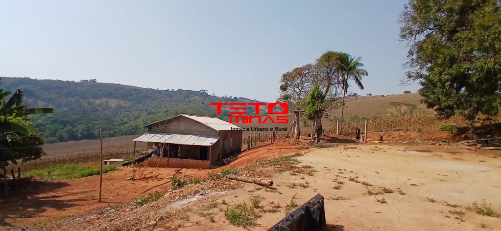 Fazenda à venda com 4 quartos - Foto 5