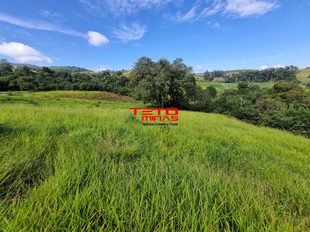 Chácara à venda - Foto 7