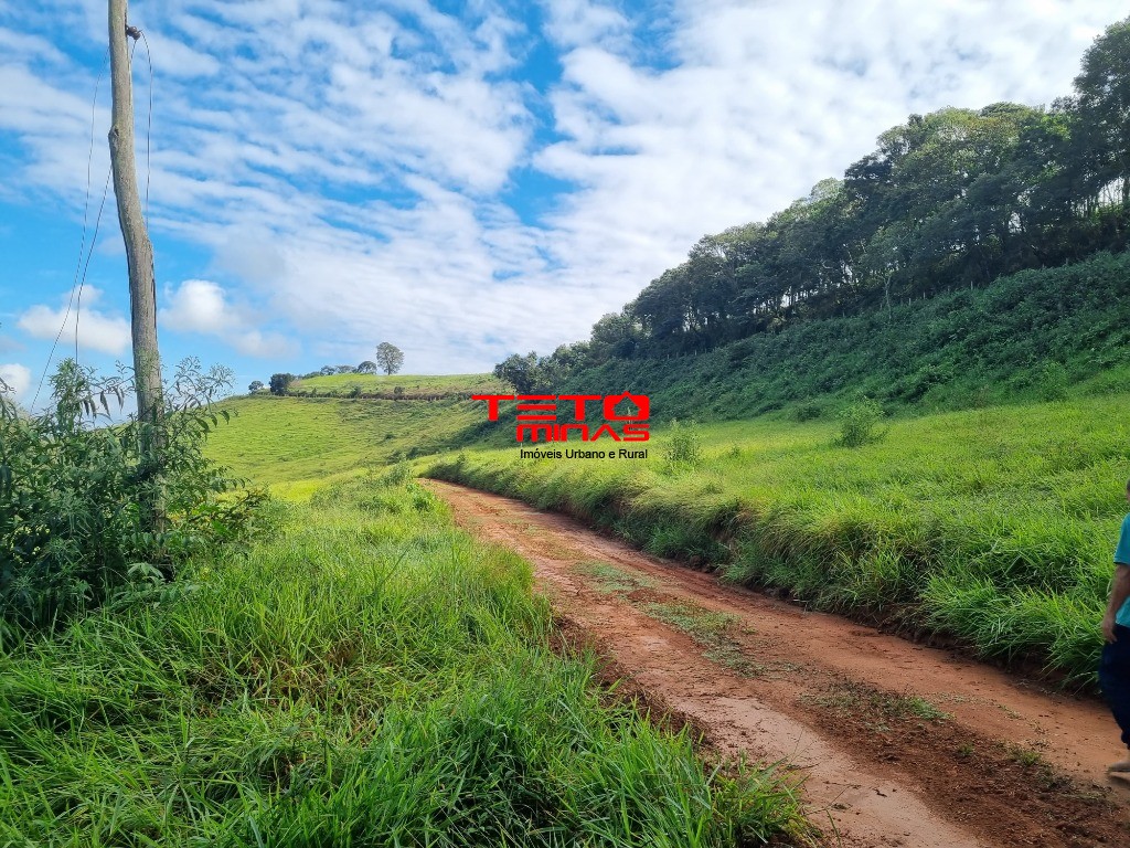 Chácara à venda - Foto 1