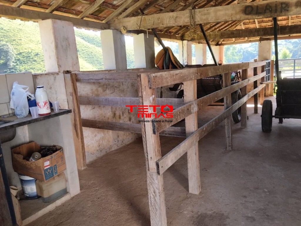 Sítio à venda - Foto 11