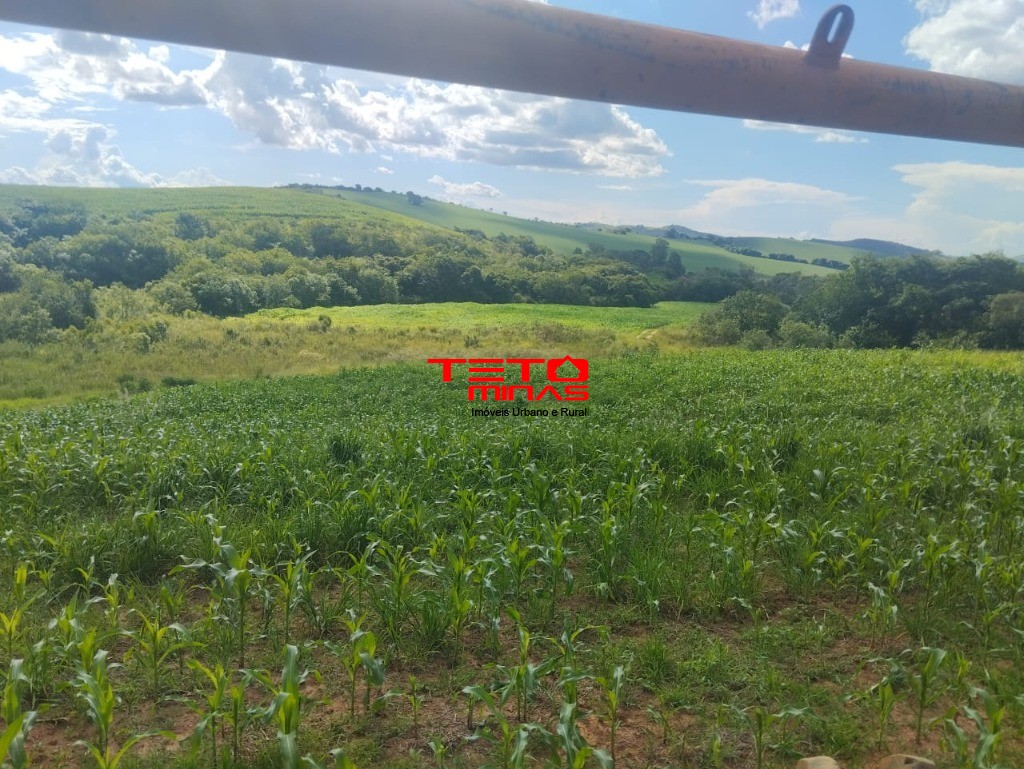 Fazenda à venda com 4 quartos - Foto 28