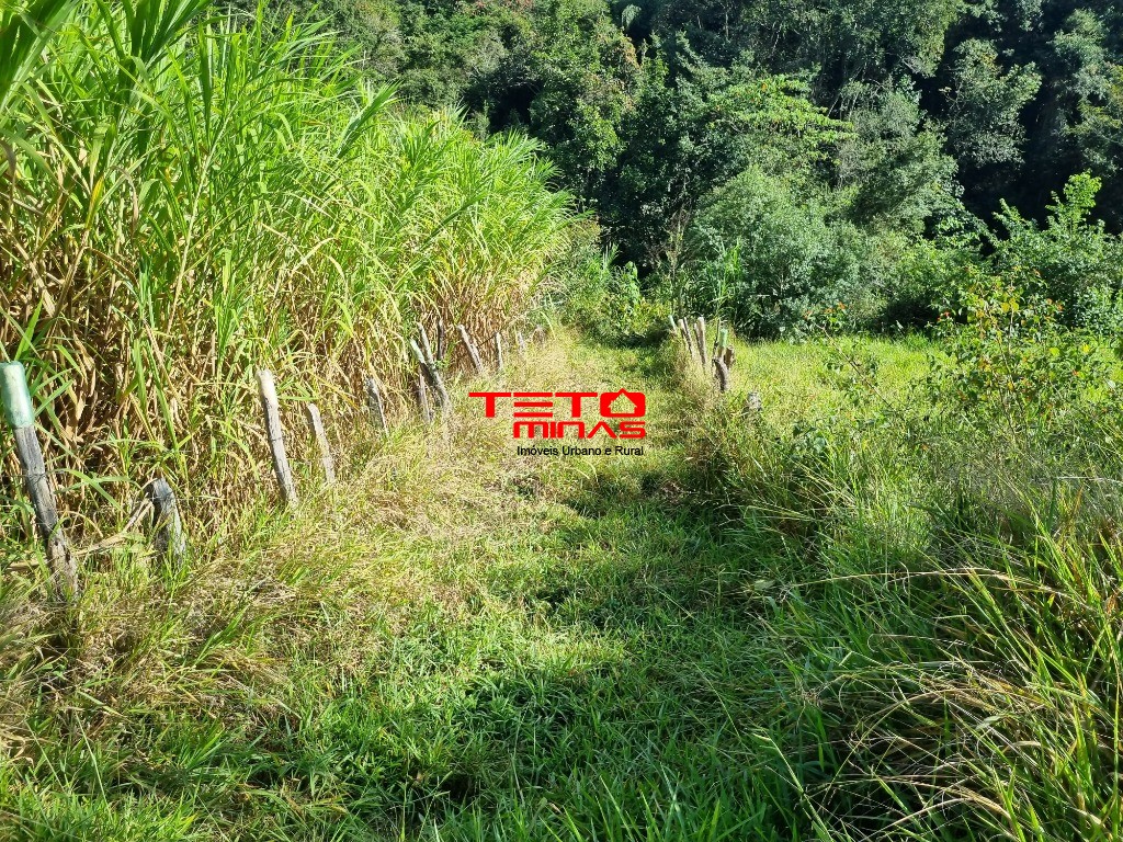 Sítio à venda - Foto 11