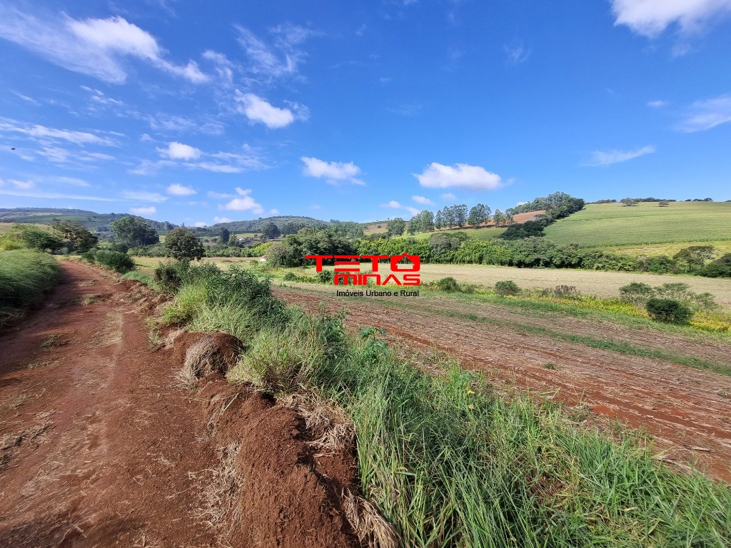 Sítio à venda - Foto 3