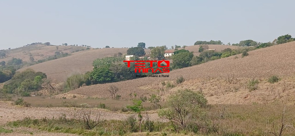 Fazenda à venda com 4 quartos - Foto 17