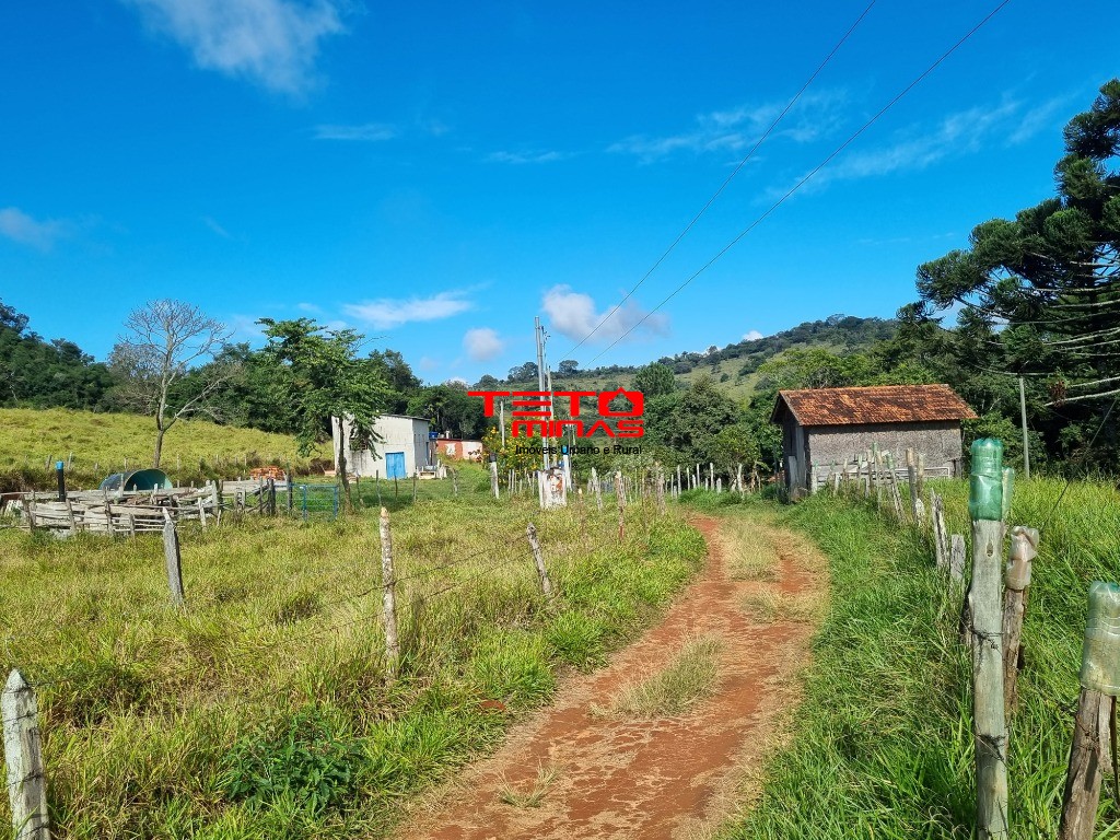Sítio à venda - Foto 1