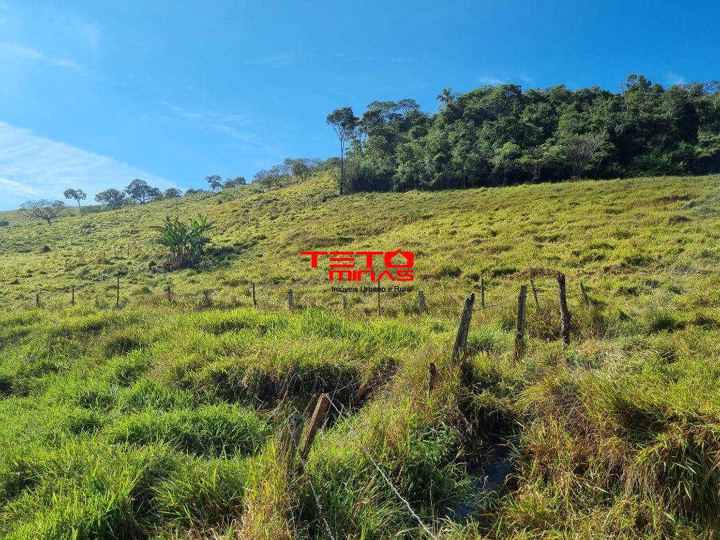 Sítio à venda - Foto 4