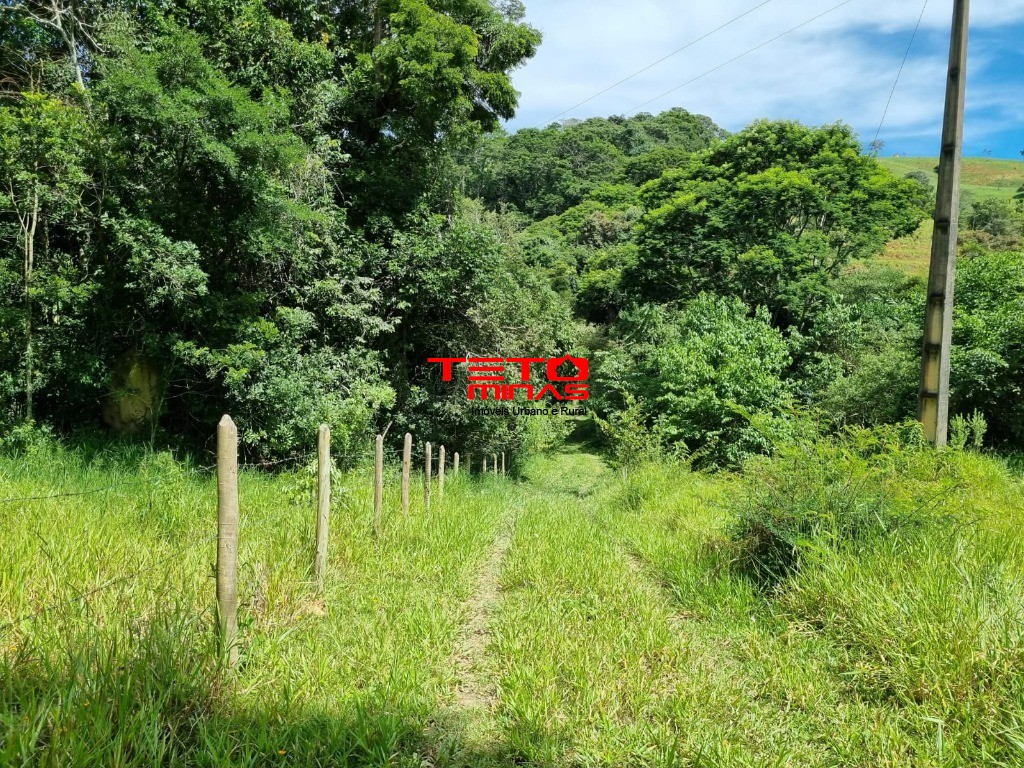 Sítio, 3 quartos - Foto 7