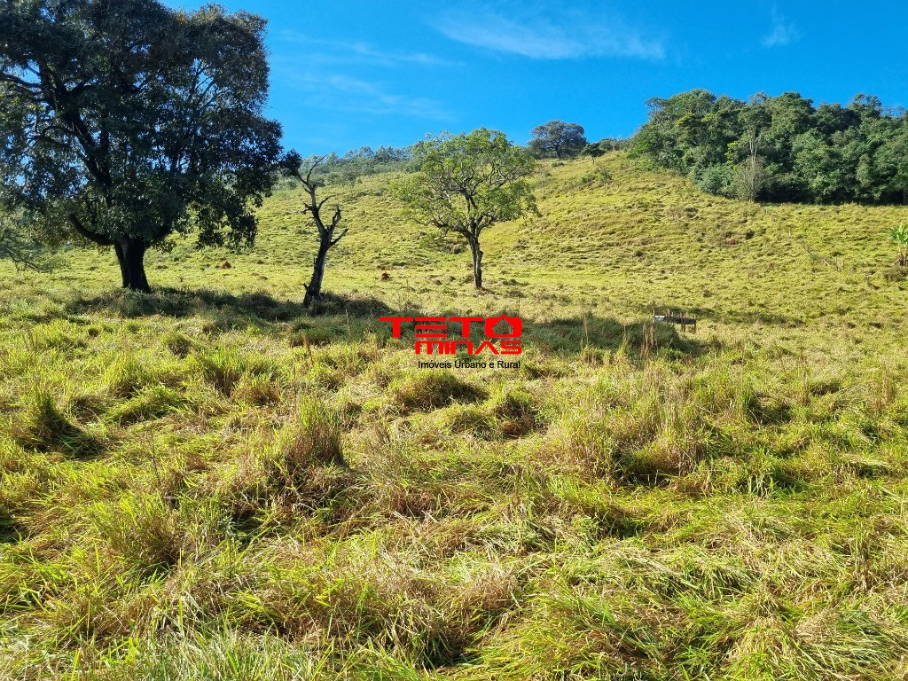 Sítio à venda - Foto 2