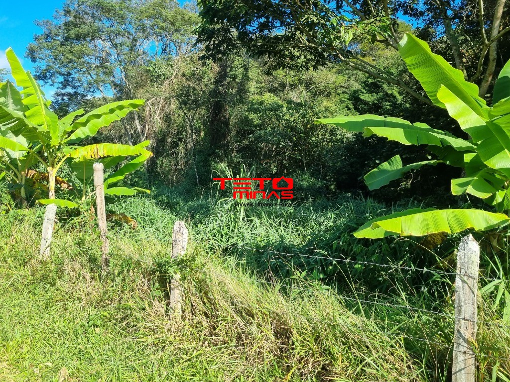 Sítio à venda - Foto 7