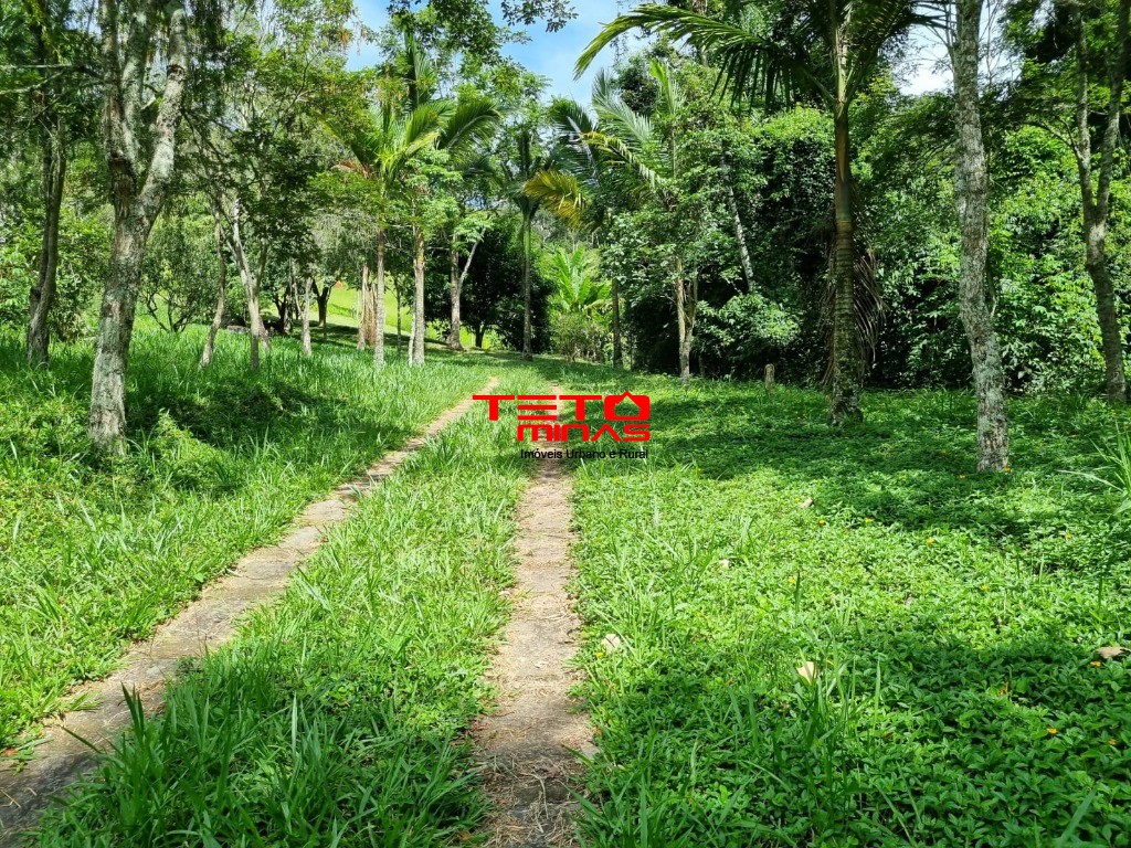 Sítio, 3 quartos - Foto 16