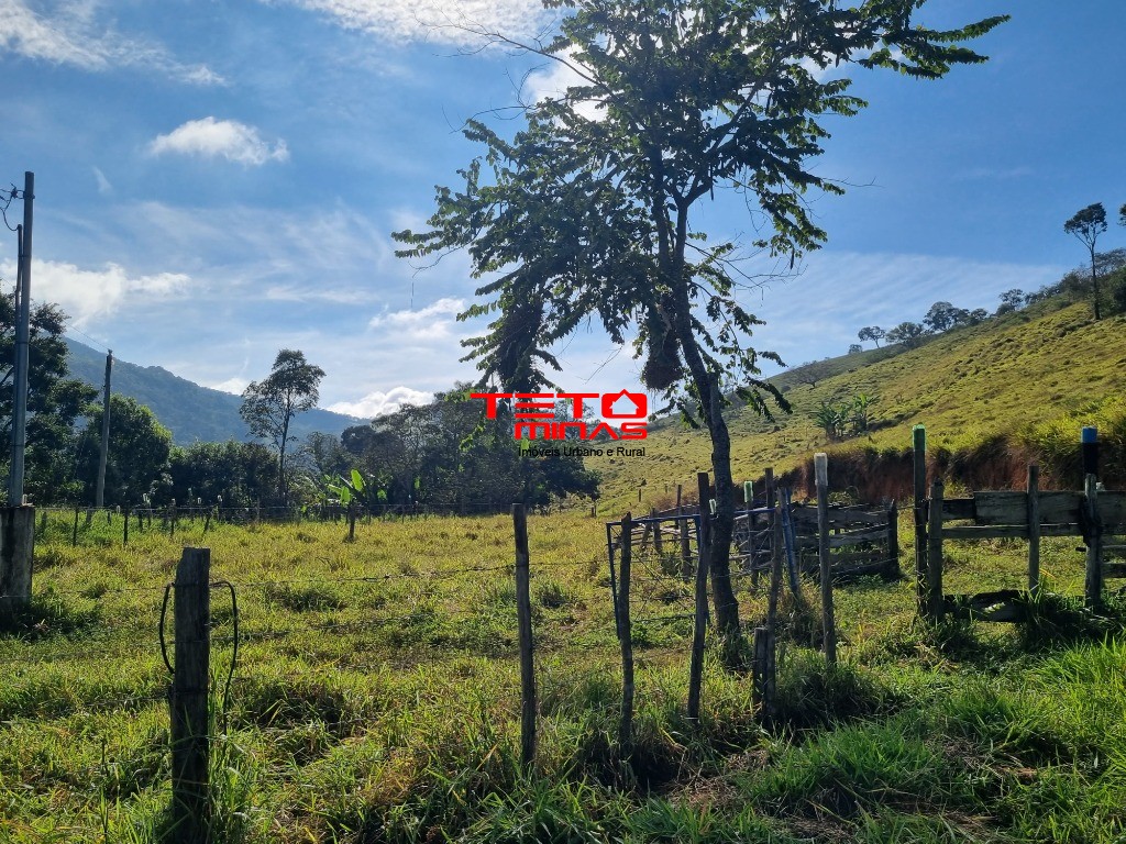 Sítio à venda - Foto 19