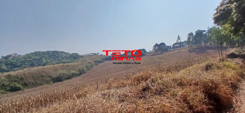 Fazenda à venda com 4 quartos - Foto 24