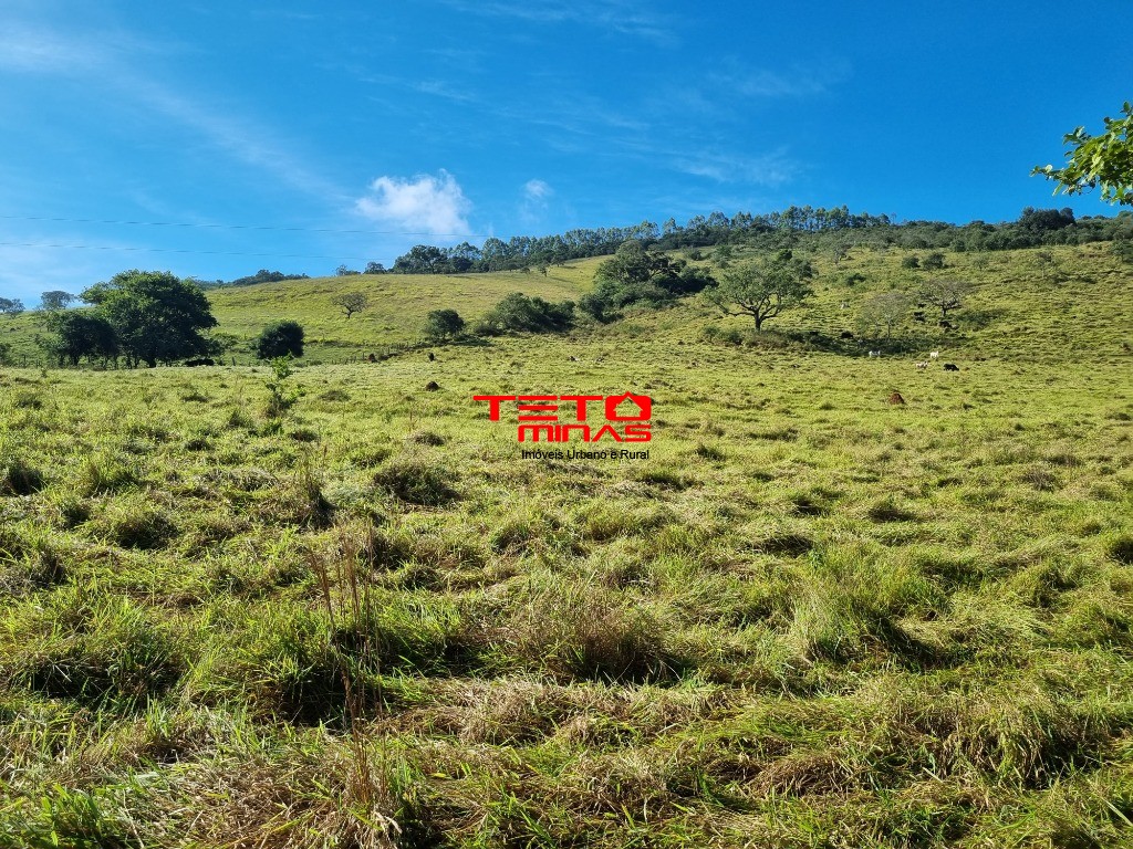 Sítio à venda - Foto 8