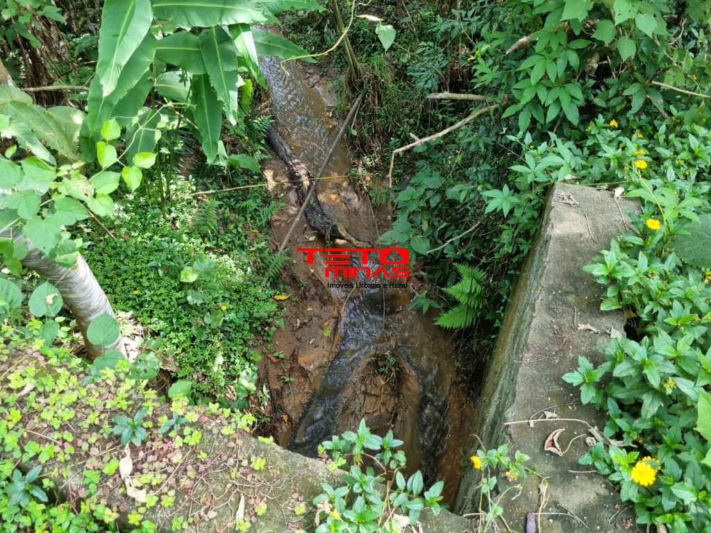 Sítio, 3 quartos - Foto 15