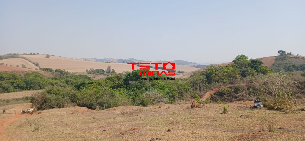 Fazenda à venda com 4 quartos - Foto 10