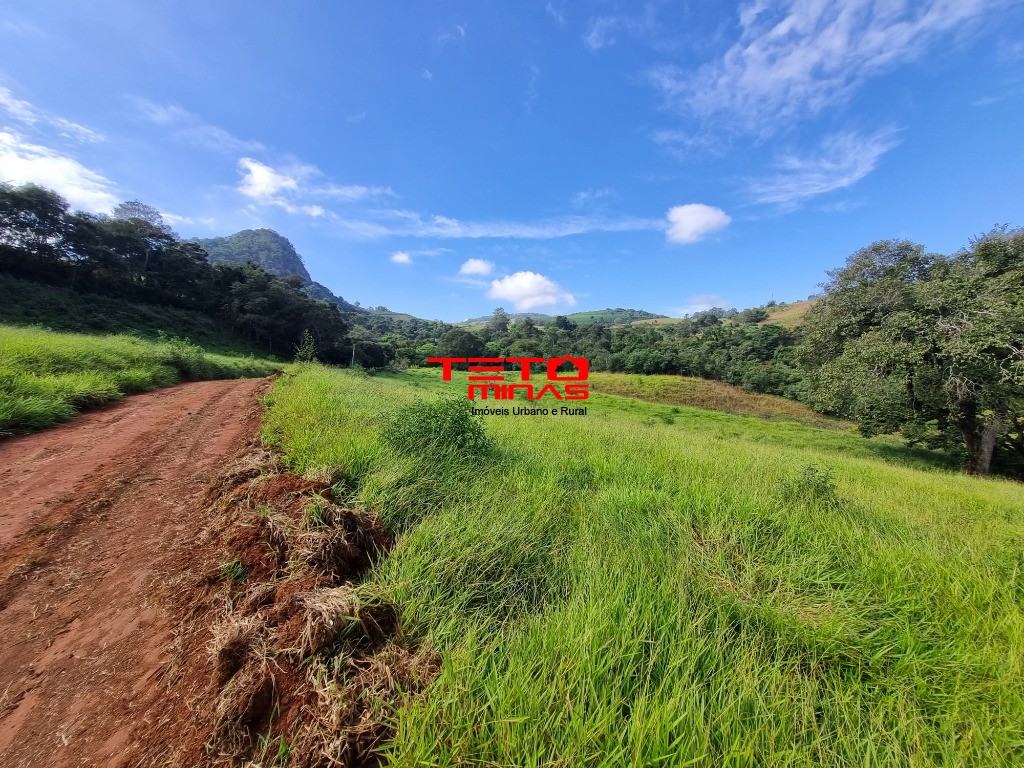 Chácara à venda - Foto 3