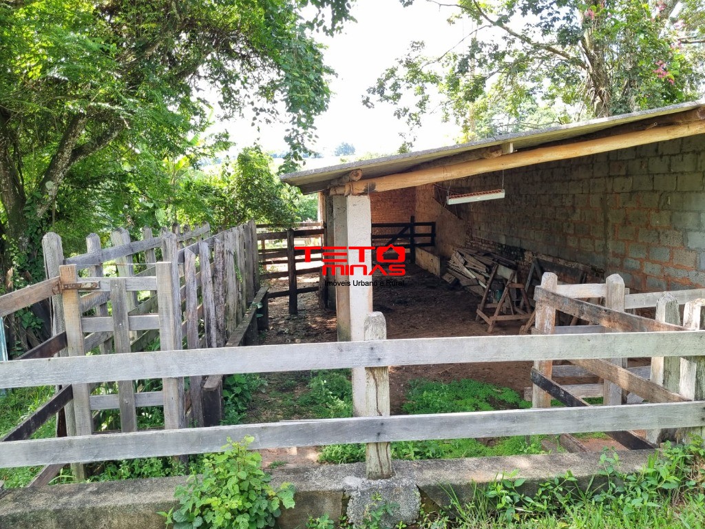 Sítio, 3 quartos - Foto 6