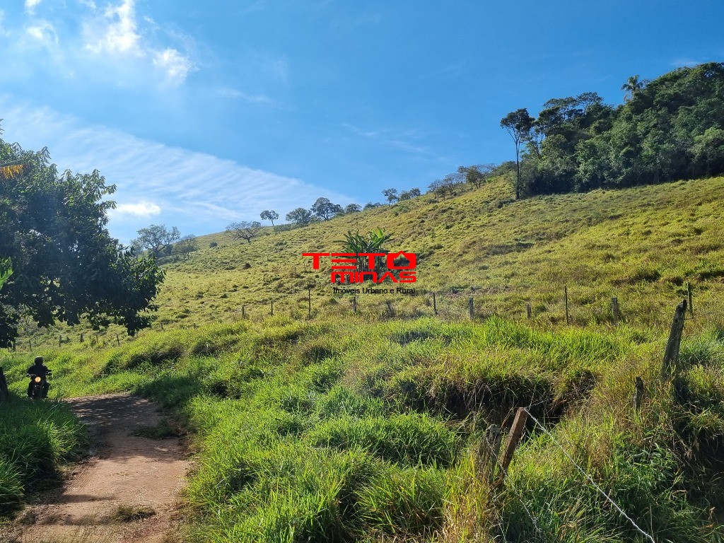 Sítio à venda - Foto 3
