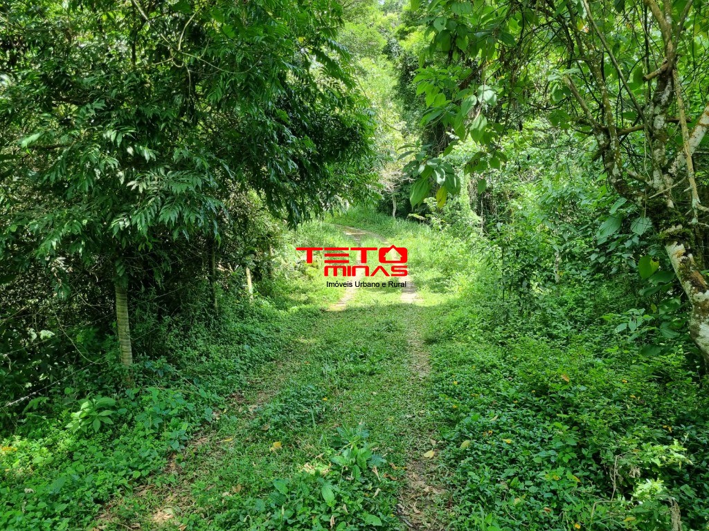 Sítio, 3 quartos - Foto 8