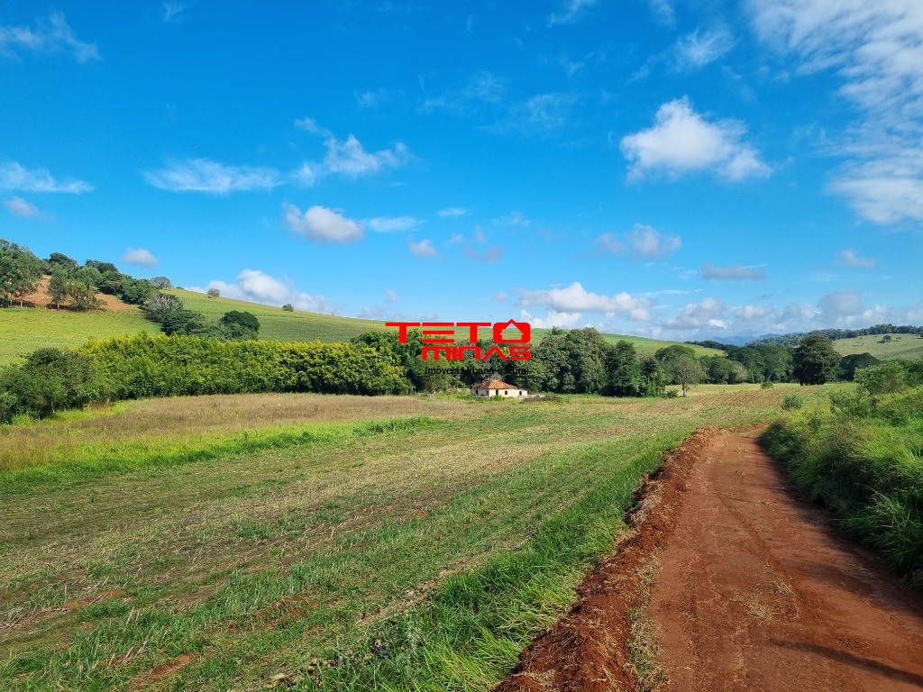Sítio à venda - Foto 1