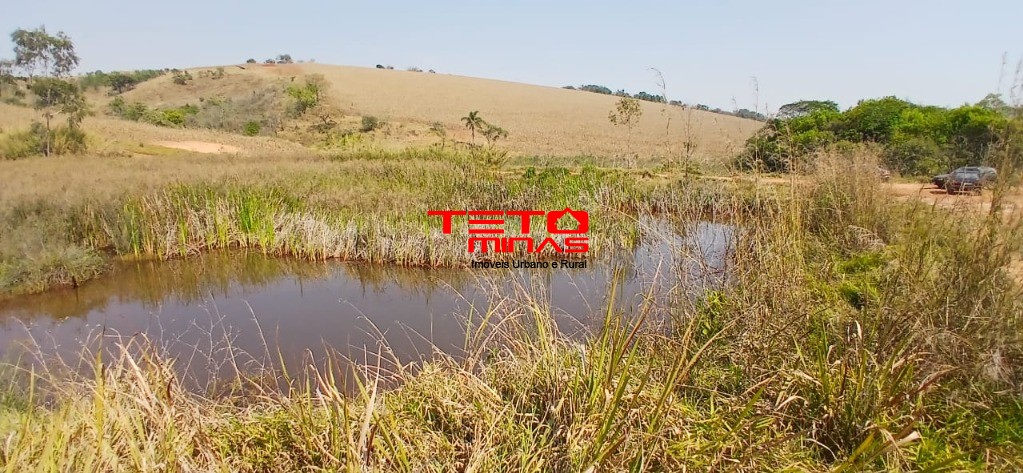 Fazenda à venda com 4 quartos - Foto 21