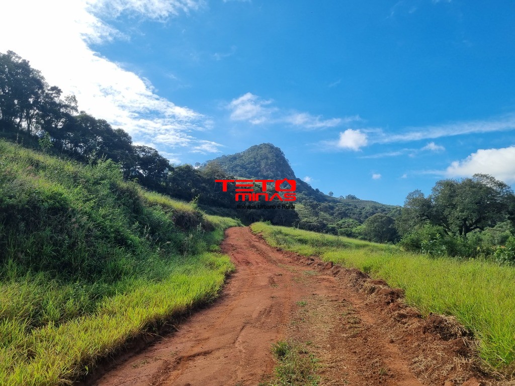 Chácara à venda - Foto 3